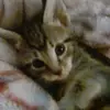 alyssa.f.cantrell - @kelly.cantrell.85 - TikTok