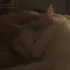 alyssa.casner - @alyssa.casner - TikTok