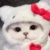 Alyssa Cedillo - @alyssa.cedillo56 - TikTok