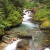 AlyssaaChampionn - @alyssaachampionn - TikTok