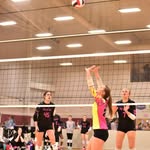 Alyssa Collier - @alyssacolliervolleyball - Instagram