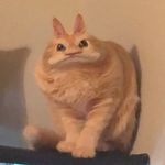 🪐🌝🔮 - @a_l_y_s_s_a__c_o_r_l_e_y - Instagram