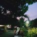 Lyssa Declaro - Facebook