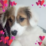 Delia Alisa - Facebook