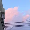 Alyssa - @alyssadevriess - TikTok