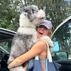 Alyssa Dewey - @lyss_dewey - TikTok