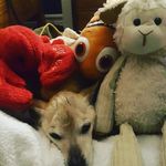 Alyssa_ 24 - @alyssa.dibart24 - Instagram