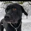 alessa.dibiase - @alessa.dibiase - TikTok