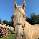 Alyssa Driver - @driver1182 - Instagram