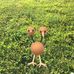 Alissa Dutton - Facebook