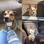 Alyssa Eckert_2 - @alyssa_e_2 - Instagram