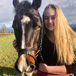Alyssa Eckhardt - @alyssas_horse_journey - Instagram