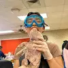 Alyssa EK - @alyssaek1 - TikTok