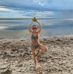 Alyssa Ekkerd - Facebook