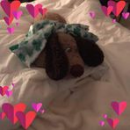 Alyssa Ellen - Facebook