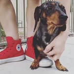 Alyssa Esquer - @esqueralyssa - Instagram