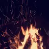 Alyssa Estes - @alyssa.estess - TikTok