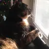 Alyssa Noelle Fenner - @kittykat1270 - TikTok