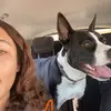 Alyssa Field - @lyssafieldd - TikTok