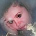 Alyssa K. Findlay - Facebook