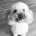 Alicia Flatt - Facebook