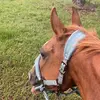 Alyssa Holcombe - @alyssa_flint_equestrian - TikTok