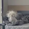 AlyssaGalloway - @ivabifjfvmd - TikTok
