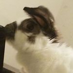 alyssa - @alyssa.geiger76 - Instagram