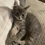 Alessa Geller - Facebook