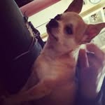 alyssa glazer - @glazeralyssa - Instagram
