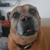 Alyssa - @alyssagoreham0 - TikTok