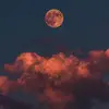 Alyssa._.grady - @alyssa._.grady - TikTok