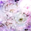 alyssa_grayson - @alyssa_theripper - TikTok