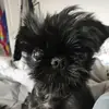 Alyssa Grimm - @user73219545 - TikTok