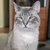 alyssabhacker - @alyssabhacker - TikTok