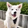 Alyssa Hailey - @alyssahailey54 - TikTok