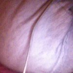 Alyssa Halter I Love Softball - @alyssahalter_i_love_softball - Instagram