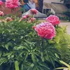 alyssahamel278 - @alyssahamel278 - TikTok