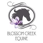 Alyssa Hamman - @blossom.creek.equine - Instagram