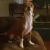 alyssahammers2 - @alyssahammers2 - TikTok