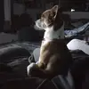 alyssahand69 - @alyssahand69 - TikTok