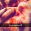 alyssahansen__ - @alyssahansen__ - TikTok