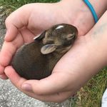 Alyssa Taylor Muhlhauser - @alyssataylormuhlhauser - Instagram