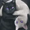 AlyssaHazel9480 - @alyssahazel9480 - TikTok
