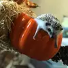 Hedgehog_Alyssa - @hedgehog_alyssa - TikTok