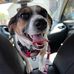 Alissa Hedrick - Facebook