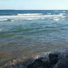 Alyssa Herbert  - @alyssah101 - TikTok