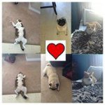Alyssa Cluett - @alyssa_loves_hersheys - Instagram