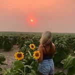 Alyssa Victoria Ives🌻 - @alyssa_victoria_ives_art - Instagram