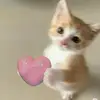 Alyssaja - @alysamuraa - TikTok
